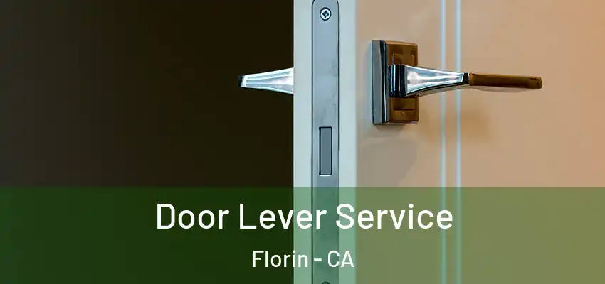  Door Lever Service Florin - CA